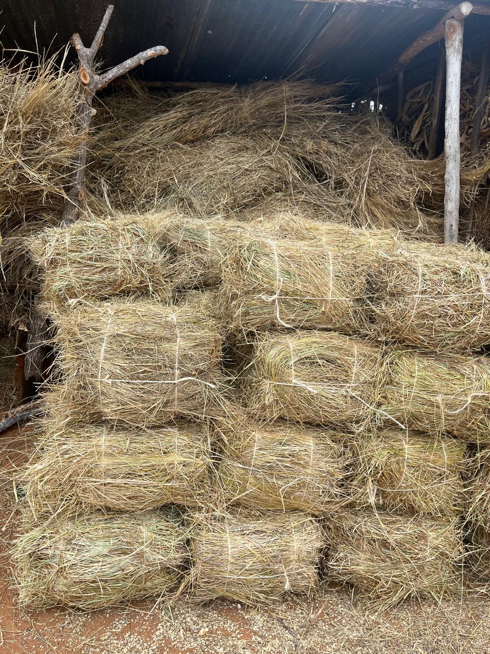 Hay bales stored on the farm