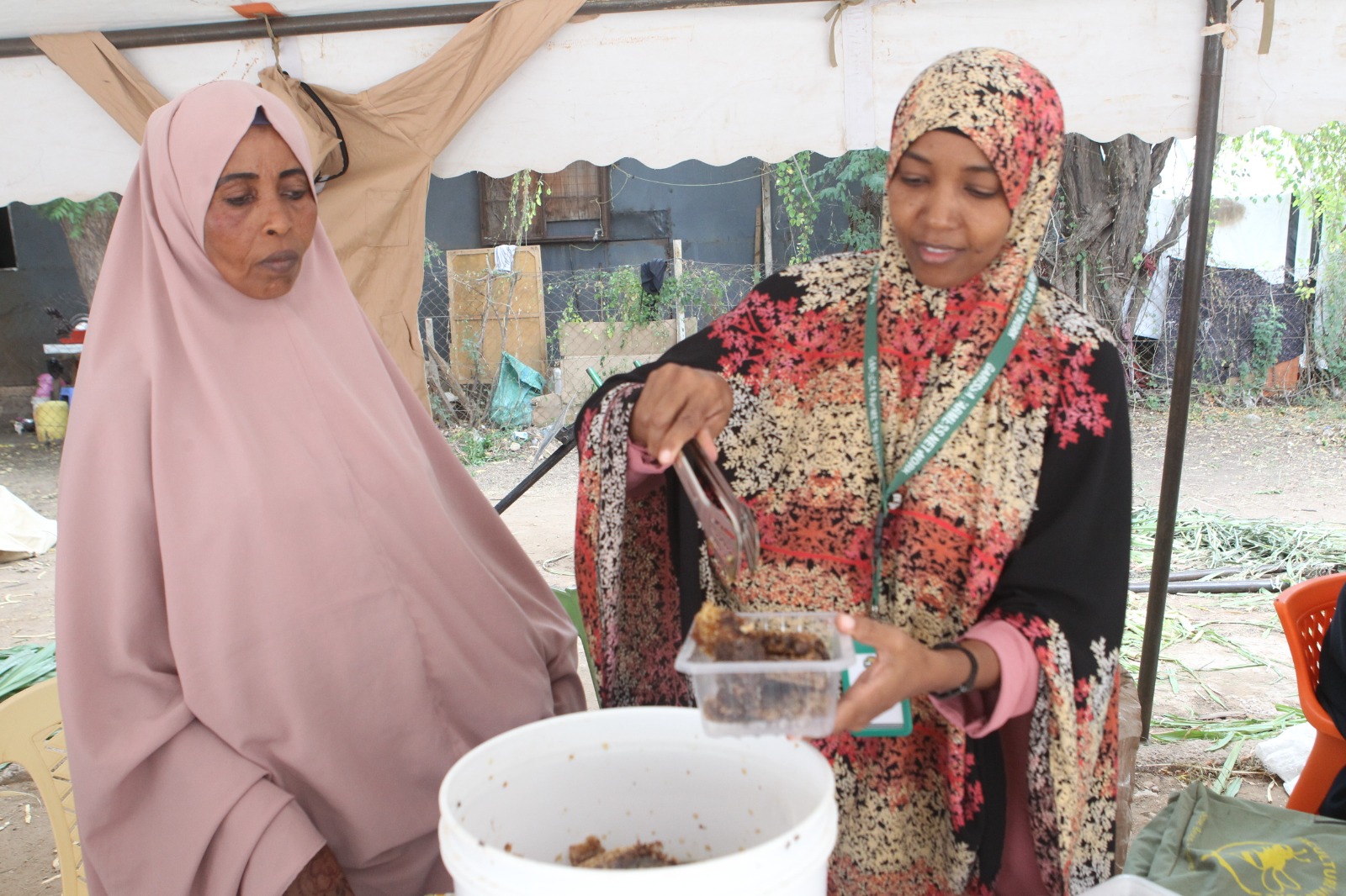 Preparing honeycomb at Ebby Farm